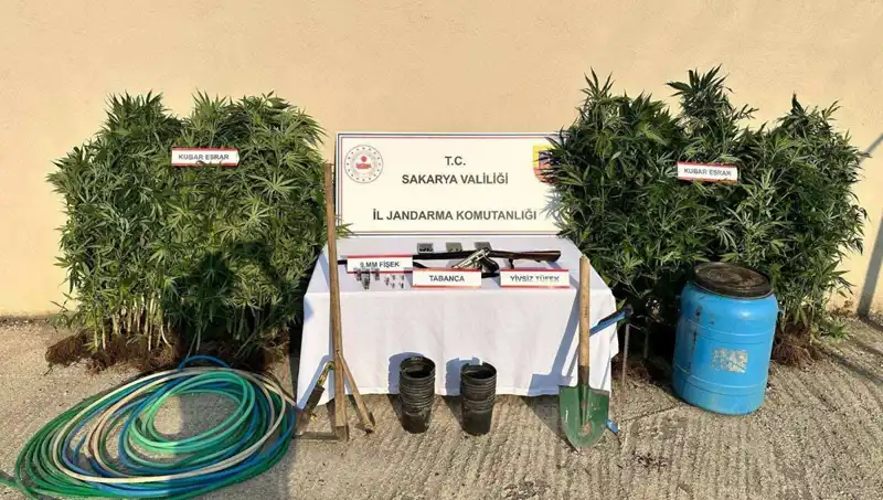 Sakarya’da Uyuşturucu Operasyonu: 1 Gözaltı, 1 Tutuklama Şoku
