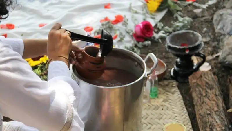 Ayahuasca: Gizemli İçeriği ve Mevcut Yasal Durumu Nedir?
