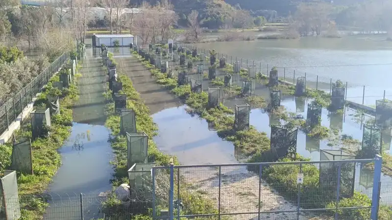 Irmak Taşınca Otoyol Şantiyesi Sular Altında Kaldı: Büyüyen Tehlike!