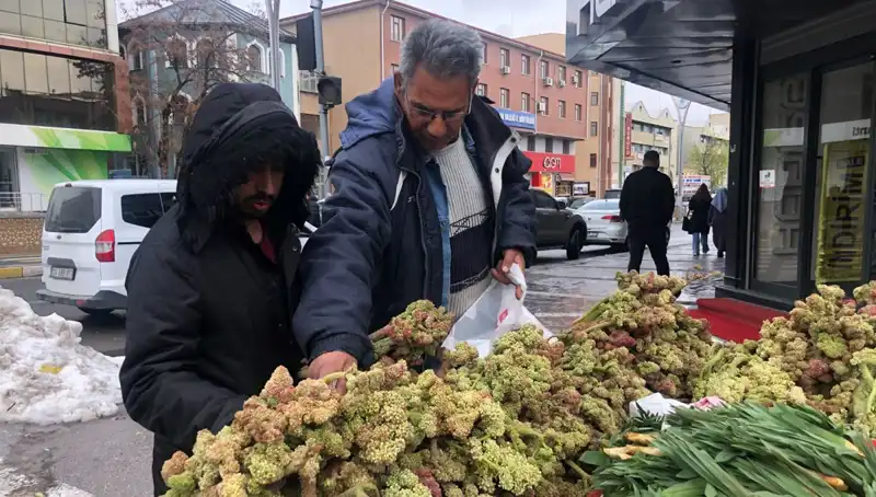 Kendiliğinden Yetişen 'Doğa Mucizesi': Kanserin Yeni Umudu Mu?