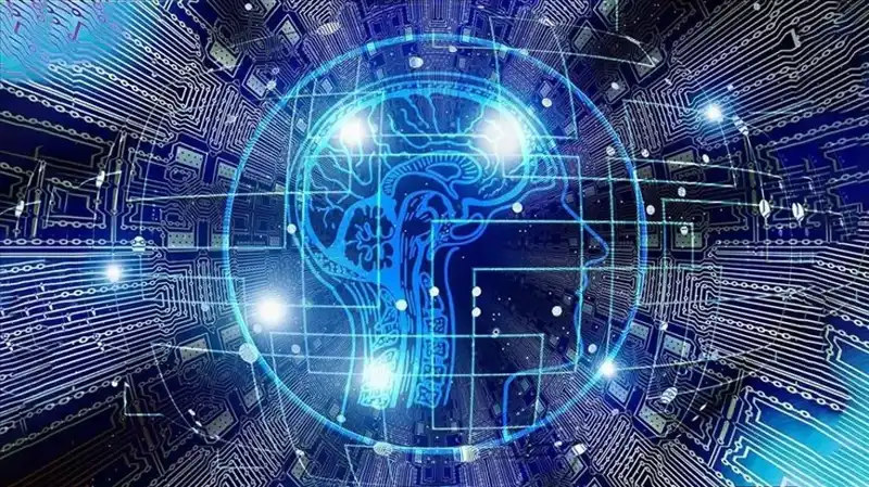 Kripto Para Dünyasında Bot Sürüsü Alarmı: Dolandırıcılığa Karışanların Ağı Ortaya Çıktı