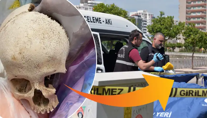 Çöp Alanından Çıkan Kafatasının Gizemi: Uzman Doktor Gözaltında!