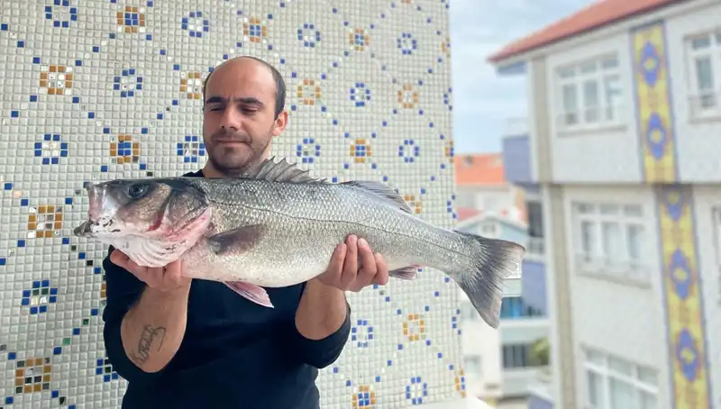 7,5 Kiloluk Dev Levrek, Balıkçının Mücadelesiyle Yenilmezlik Hikayesi