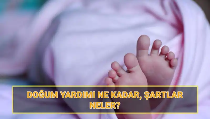 2025'te 5 Bin Lira Doğum Yardımı Başvurusu İçin Gerekli Tüm Bilgiler