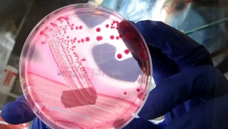 Bilim İnsanları AP2A1 Proteini İle Yaşlanmayı Unutturan Keşfi Gerçekleştirdi