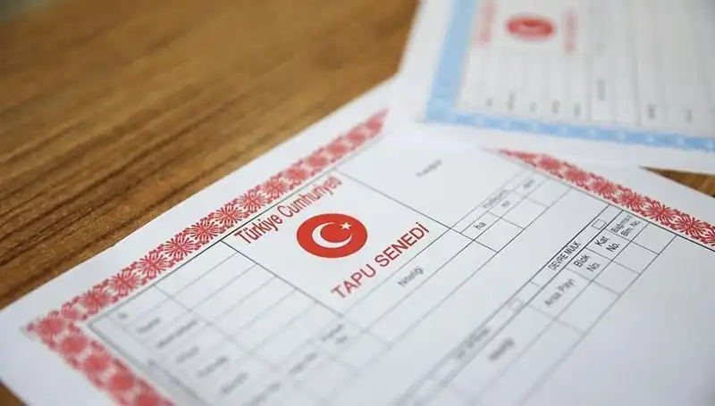 100 Milyonluk Dolandırıcılık: Hisseli Tapu Tuzakları Deşifre Edildi!