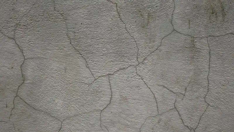 Canlı Beton: İnşaat Sektöründe Devrim Yaratan Yenilik