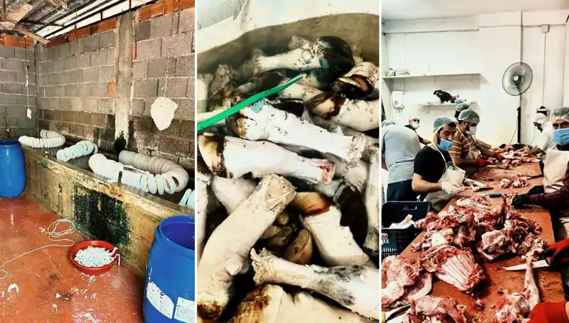 Adana’da Yüzlerce Kilo Paça Ele Geçirildi: Sağlık Skandalı Ortaya Çıktı
