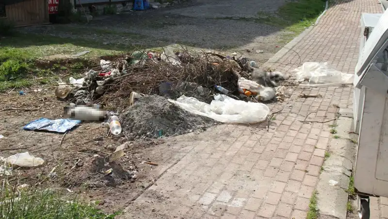 Antalya'da Korkunç Vahşet: 10 Kedi Hayatını Kaybetti!