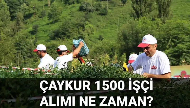 Çaykur İşçi Alımı Başvuru Tarihleri Açıklandı, İşte Son Durum!