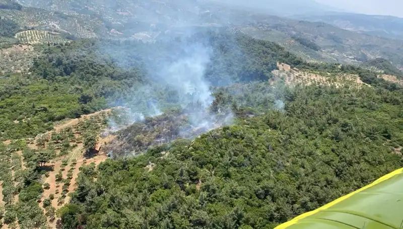 Aydın’da Orman Yangını: Doğa Yine Alevlere Teslim Oldu