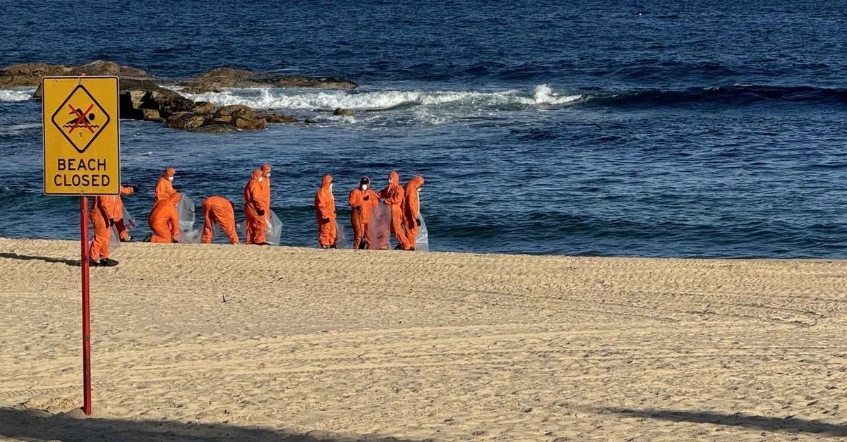 Avustralya’da Plaja Vuran Katran Toplarının Gizemi Çözüldü