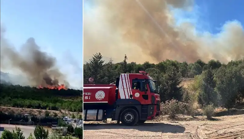 Gebze’deki Orman Yangını: Yerel İtfaiye ve Ekiplere Zor Anlar Yaşattı