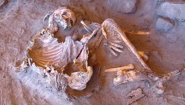 Yeni Mumya Keşfi, İnsanlığın Soy Ağacını Yeniden Yazdırıyor