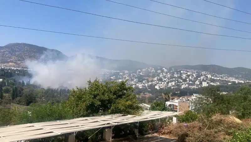 Muğla'daki Orman Yangınları Kontrol Altına Alındı: Son Durum ve Gelişmeler
