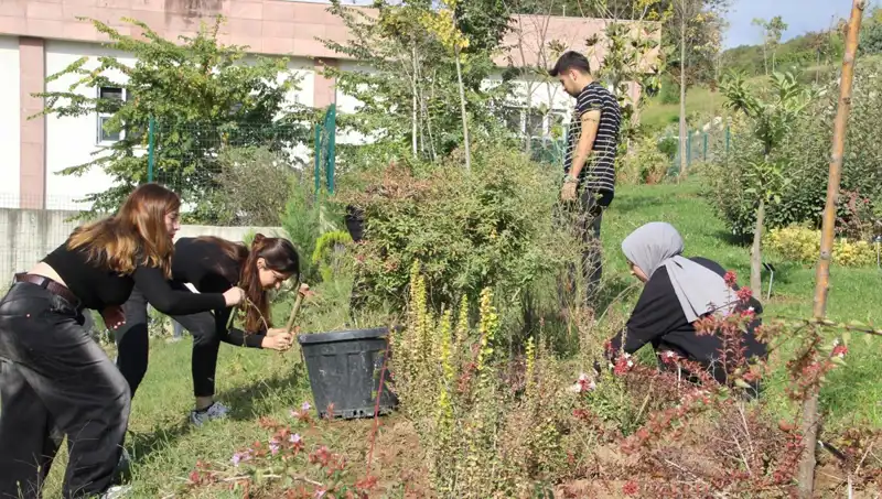 Düzce’nin Başarılı Girişimi: Hayalden Gerçeğe Dünyaca Ünlü Proje