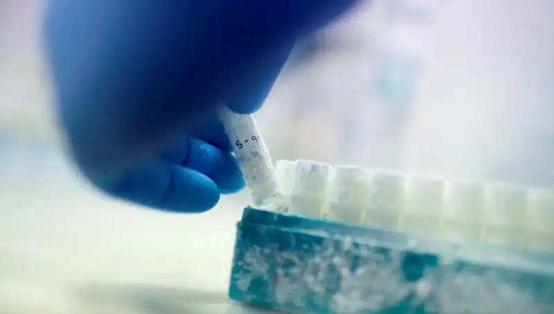 Tıbbi Felaket: 85 Sperm Donörü ile Binlerce Babanın Hikayesi