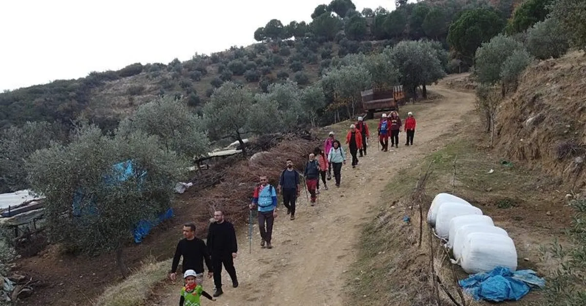 Efeler Yolu: Tarih ve Doğanın Büyüleyici İzinde Unutulmaz Bir Yolculuk