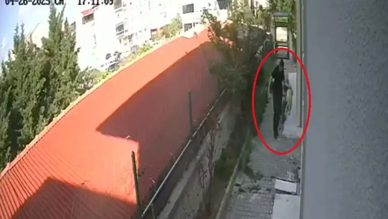 Hayvan Sever Doktora Şok Tutuklama: Köpekleri Parçaladı!