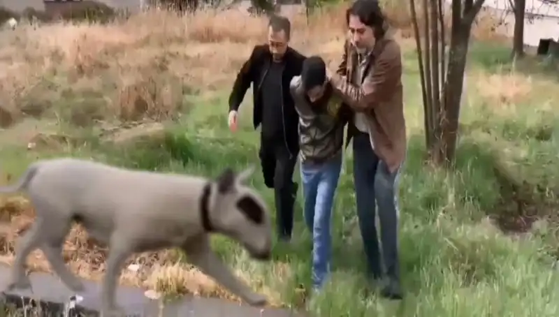 430 Bin Lira Değerindeki Şampiyon Köpeğin Hırsızlığı: Fail Tespit Edildi!